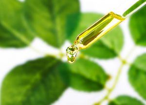 Natuurlijke middelen met anti-aging effecten zijn onder andere goudsbloem en soja